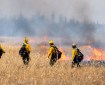 Firefighters working on the prescribed burn on the Delta Junction Bison Range.