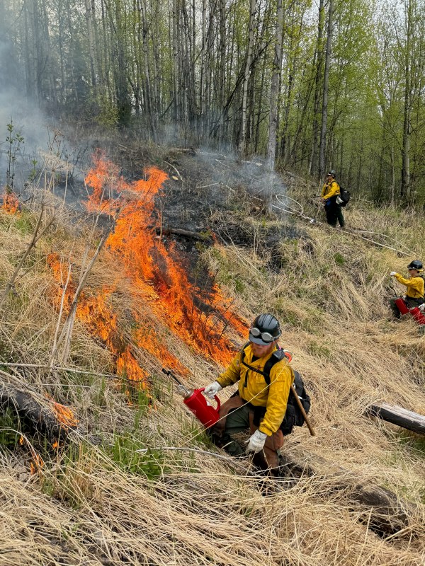 Gannett Glacier Fire crew working on burning grass at Maud Road in Palmer as part of a prescribed burn. 