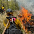 Firefighters with the Gannett Glacier Fire crew conduct a prescribed burn at the Maud Road shooting range in Palmer.