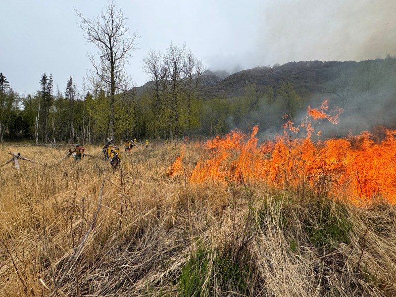 Butte Fire Department, Gannett Glacier Fire Crew and Mat Su DOF Firefighters conduct a prescribed burn at Maud Road. 