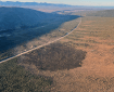 A dark burned patch of land next to a roadway with mountains in the background.