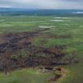 Aerial view of Oskawalik Fire burn scar. No smoke is visible across the fire area.