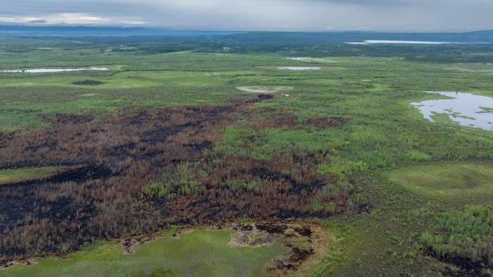 Aerial view of Oskawalik Fire burn scar. No smoke is visible across the fire area.