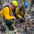Two firefighters crouch near burnt ground to check for heat.