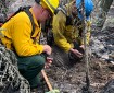 Two firefighters crouch near burnt ground to check for heat.