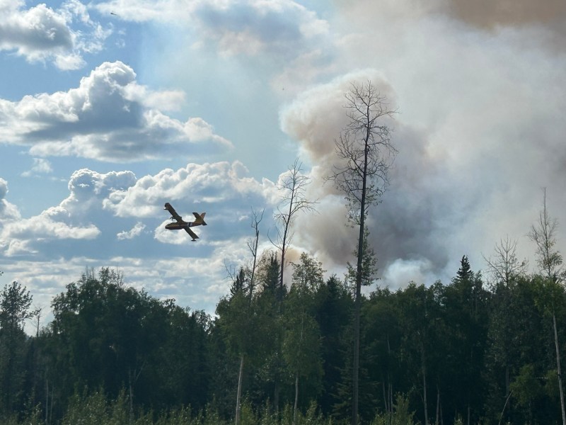 Photo shows an airplane flying past a smoke column rising from the forest.