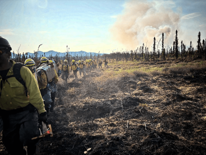 A line of wildland firefighters in protective clothing walk past a crop of burned trees with smoke in the background