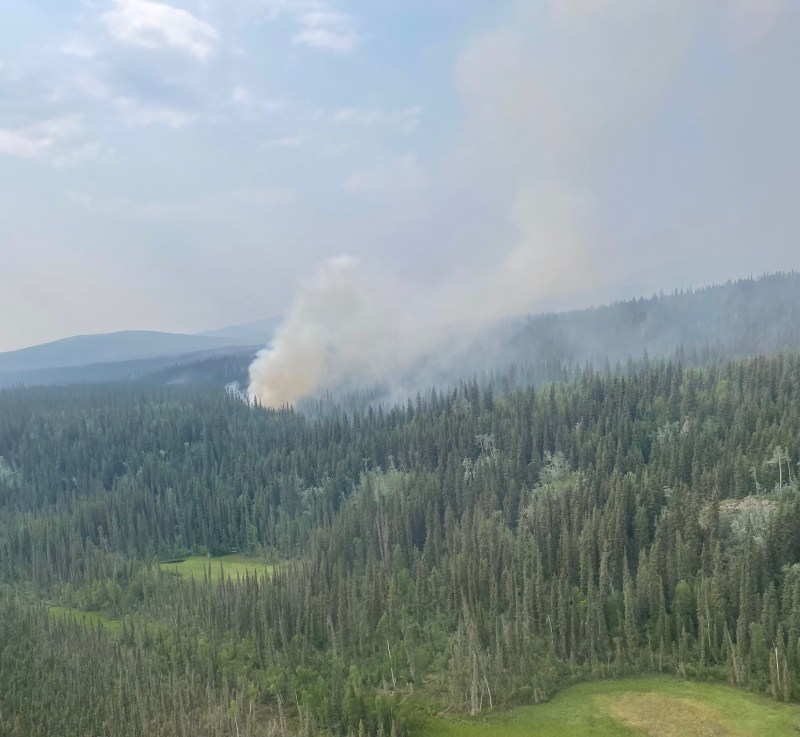 An image of the Lush Fire is taken from a helicopter. Dense spruce trees are in the front of the photo with two areas of green grass openings. A white plume of smoke rises up and to the right of the photo. Blue skies with clouds are in the top of the photo.
