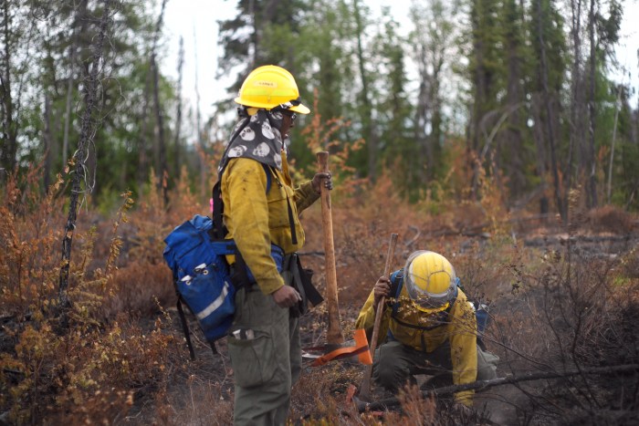 Using bare hands, two fire fighters cold trail the fire area looking for heat hidden within in burned vegetation.