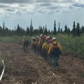 The Denali Fire Module hikes along the completed masticator line along their hose lay.