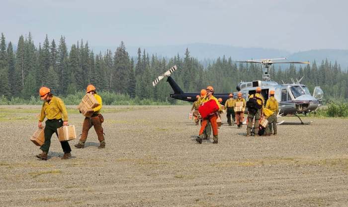 Wildland firefighters wearing yellow shirts and orange hard hats carry gear after unloading gear from a helicopter parked on a gravel area.