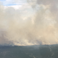 A wall of smoke billows up from a green landscape in this photo taken from an airplane.