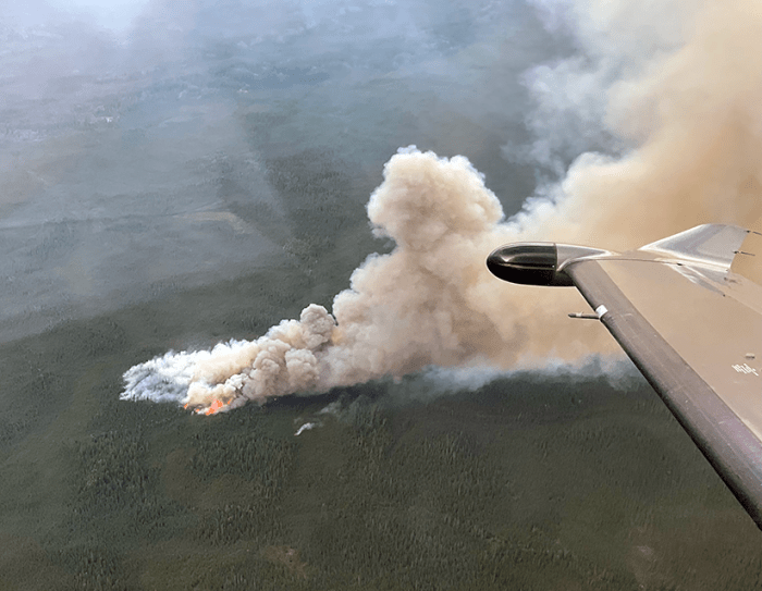 Smoke billows up from flames burning through a sea of green forest.
