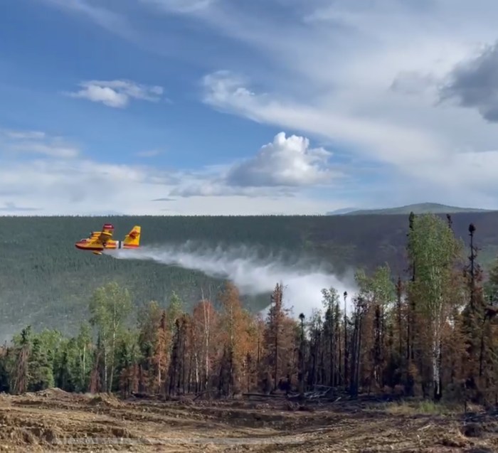 A yellow and red Scooper fixed wing aircraft drops a load of water on scorched trees in a forested mountain area under hazy blue skies