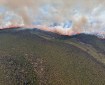 Aerial photo of landscape covered in green vegetation in the foreground with line of fire in the background.