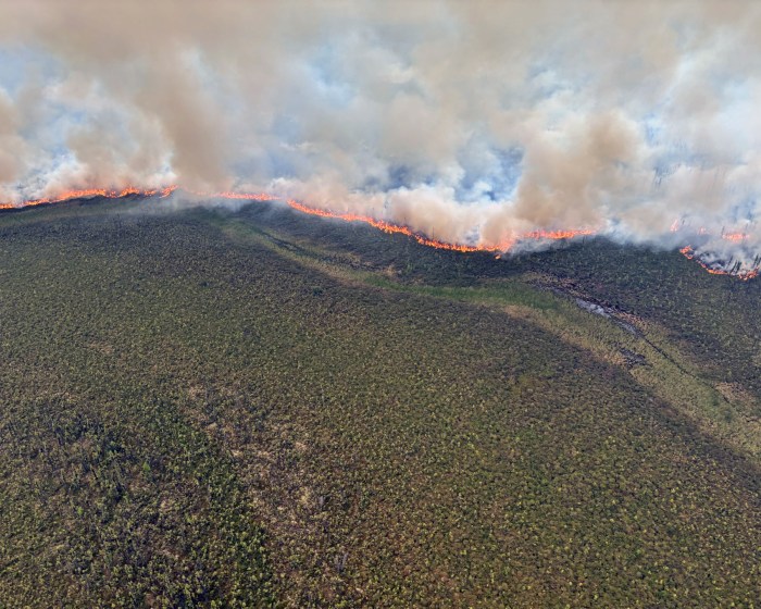 Aerial photo of landscape covered in green vegetation in the foreground with line of fire in the background.