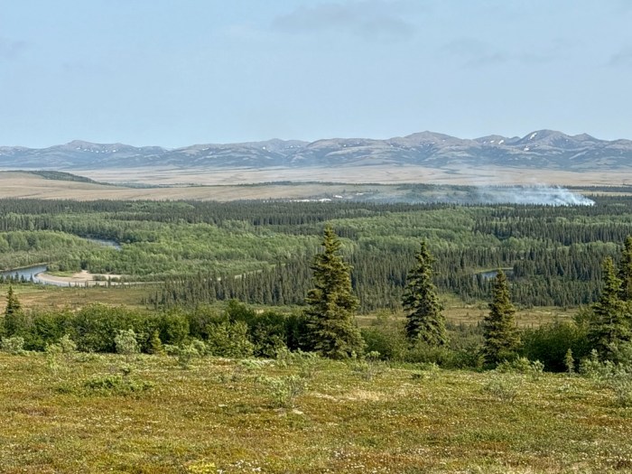 A lush forest with mountains in the distance. Smoke drifts up from a wildfire in the distance.