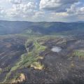 View of fire from the air. Patches of burned forest interspersed with un burned green timber and brush. Isolated smoke plumes in the far left of image.