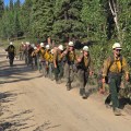 A group of firefighters walking along a dirt road in a forested area, wearing safety gear and helmets.