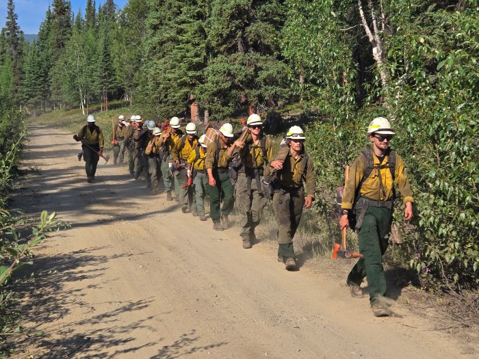 A group of firefighters walking along a dirt road in a forested area, wearing safety gear and helmets.