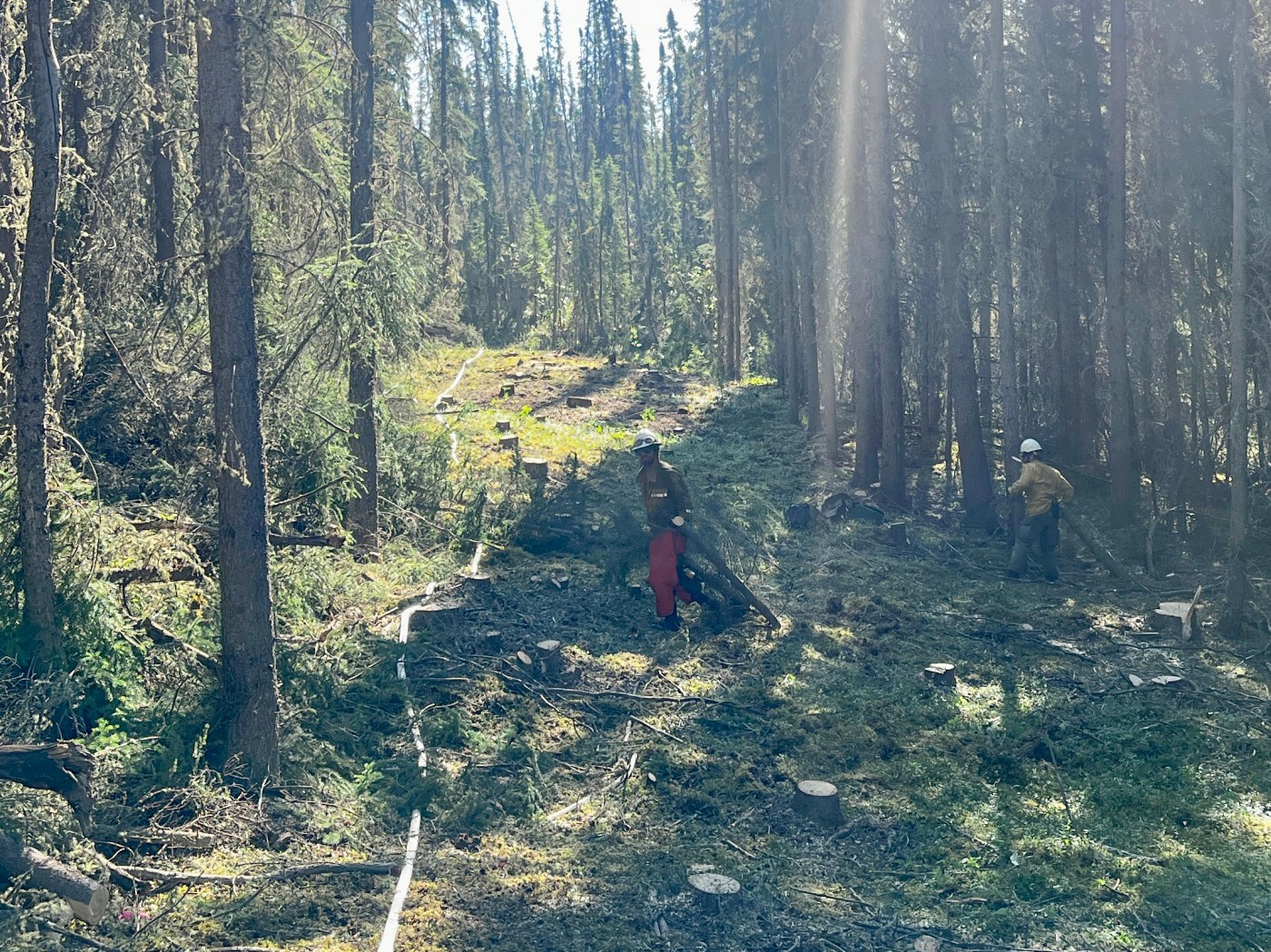 Indirect Line Ptarmigan Complex firefighters continue to prepare for Red Flag ...