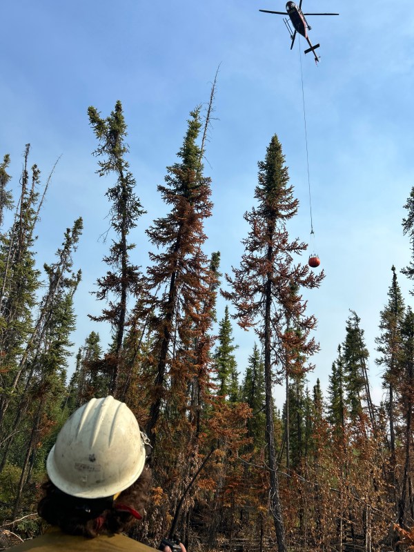 The shoulders and head of a wildland firefighter are in the lower left corner of the image. The firefighter is facing away from the camera looking at a helicopter in hovering in the upper right corner of the image above a stand of trees. The helicopter has an orange Bambi bucket full of water suspended beneath it on a long cable.