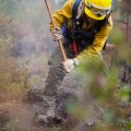 A firefighter working a heat found on the Nelchina Glacier Fire