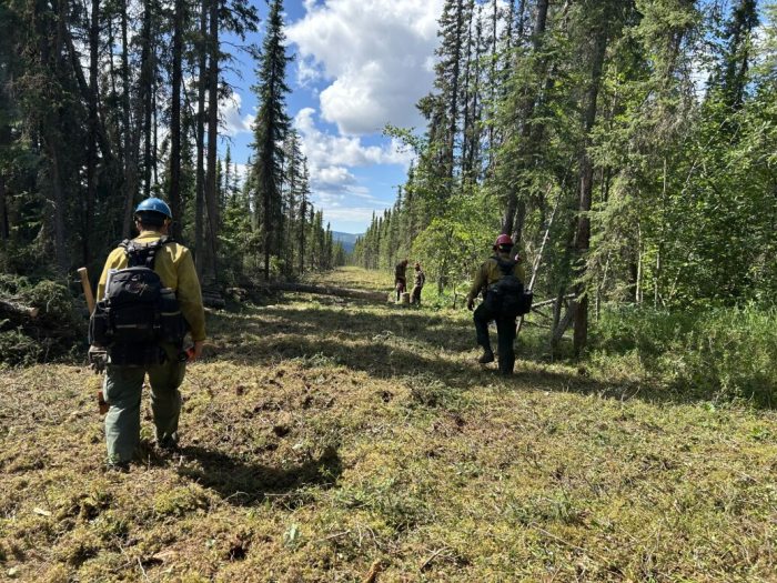 Firefighters are working to enhance the lines around the Native Alaska Allotments. Two allotments are on the right and the left of the photo and lined with tall spruce trees. In between the allotments, four firefighters are shown walking . They have full protective gear on and the two closest are carrying hand tools. The sky at the top of the photo is blue and half filled with fluffy white clouds.