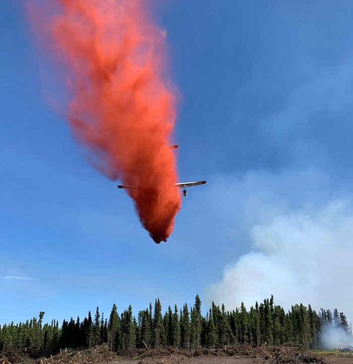 Image of an air tanker dropping retardant on a stand of trees.