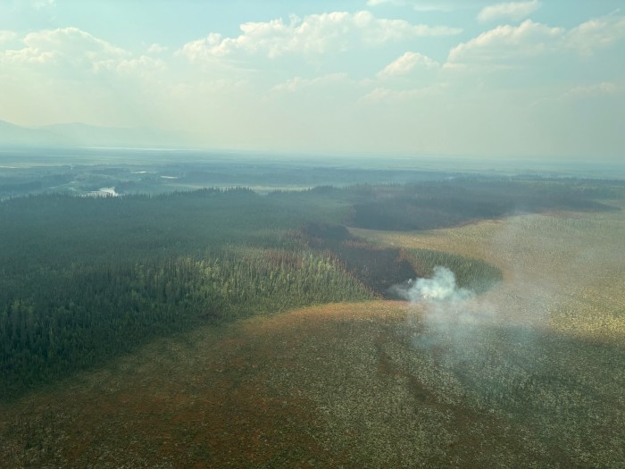 An aerial view from a helicopter of a fire area. The upper half of the image is continuous forest, and the bottom half is tundra. Fire has burnt through a section of timber, and a plume of smoke rises where the timber meets the tundra. The sky is hazy, with scattered clouds.