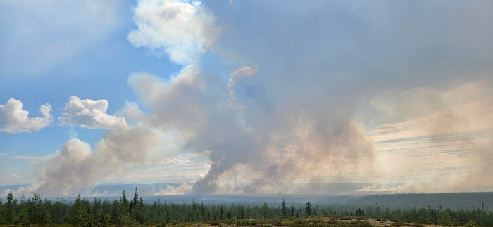 Green spruce trees are visible in the immediate foreground of the image. Off in the distance smoke rises from the forest in four distinct places. The smoke is rising into the blue, cloudy sky which dominates the image.