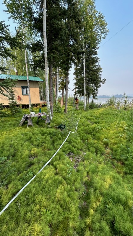 A fire hose stretches towards a house and several tall trees. The Yukon River lies in the background, a few hundred feet away.