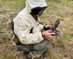 A person in a white and black mosquito net shirt and face covering sits on the green and brown vegetation-covered ground. He looks down at the black hand held equipment he is using to operate a uncrewed aerial system (UAS). He is surrounded by green vegetation.