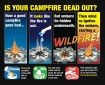 Graphic showing how to put out a fire. First panel is of a wildfire, second panel is someone pouring water on the fire, third panel is a fire that isn't completely out, then fourth and last panel shows it on fire again.