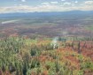 Green and brown vegetation with one small smoke plume rising from the lower middle portion of the image. Low, green-blue mountains are in the background, topped by a blue, cloudy sky.