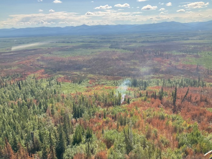 Green and brown vegetation with one small smoke plume rising from the lower middle portion of the image. Low, green-blue mountains are in the background, topped by a blue, cloudy ski.
