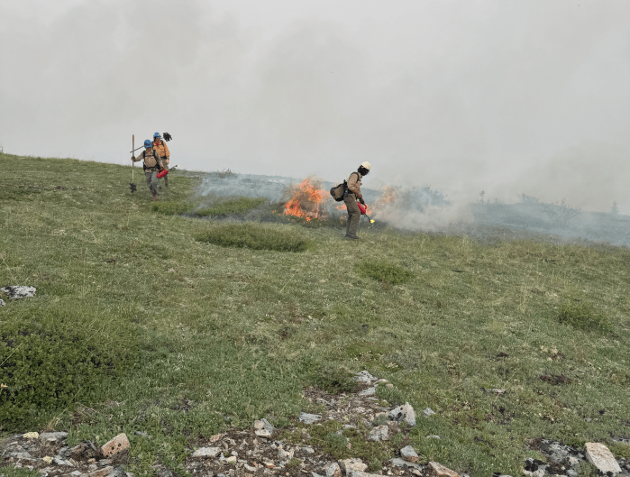 Firefighters using defensive burning techniques to protect military assets