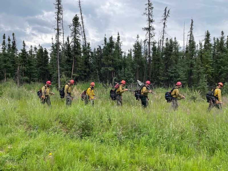 A fire crew in uniform walks across a grassy area in front of a forest