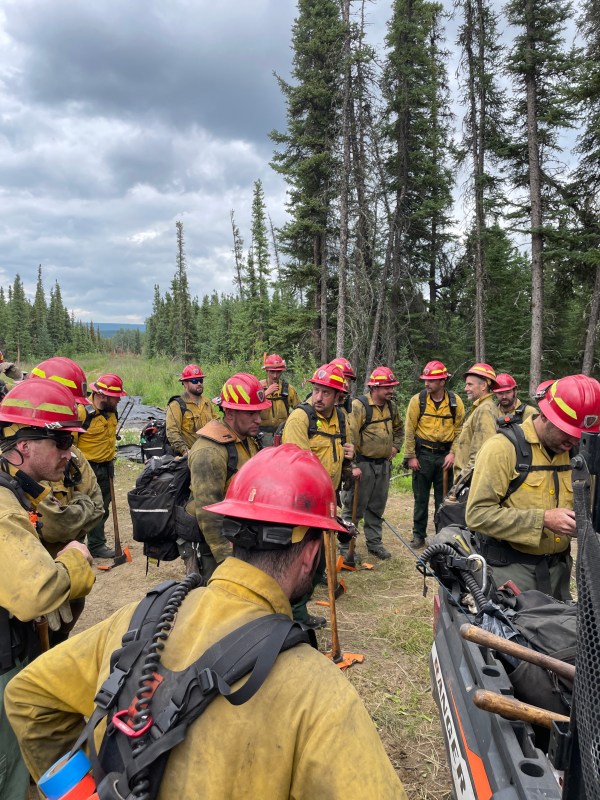 firefighters in dirty uniforms gather in the woods under stormy skies