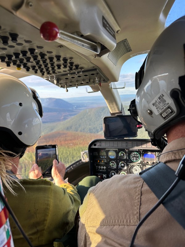 The backs of two people's heads with white helmets covering them from inside an airplane cockpit. Aviation gauges, buttons, switches, and screens are visible. Through the airplane window, the forested landscape below can be seen.