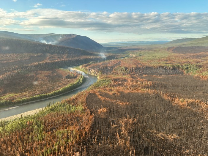 Mostly brown trees viewed from an aerial overflight with a sliver of gray river going from the lower left portion of the image through the middle center. A couple of small smoke plumes in the distance. A blue sky with white elongated clouds.
