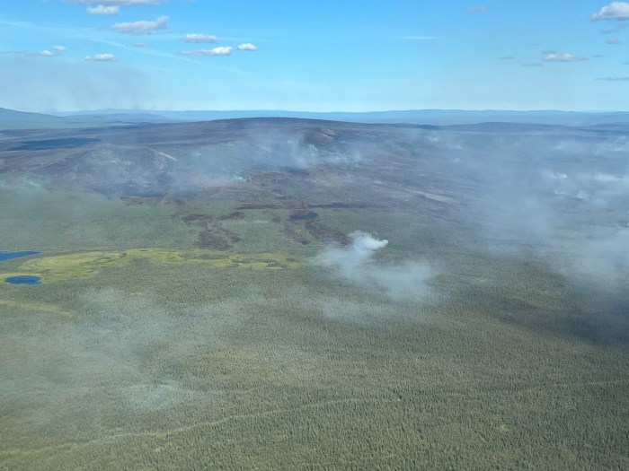 A long distance landscape view of a green, brown, and black forest with small smokes rising from several areas. A bright blue sky above.