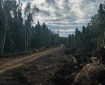 Dozer line and berms shown with black spruce trees and cloudy sky shown in the backgroud.