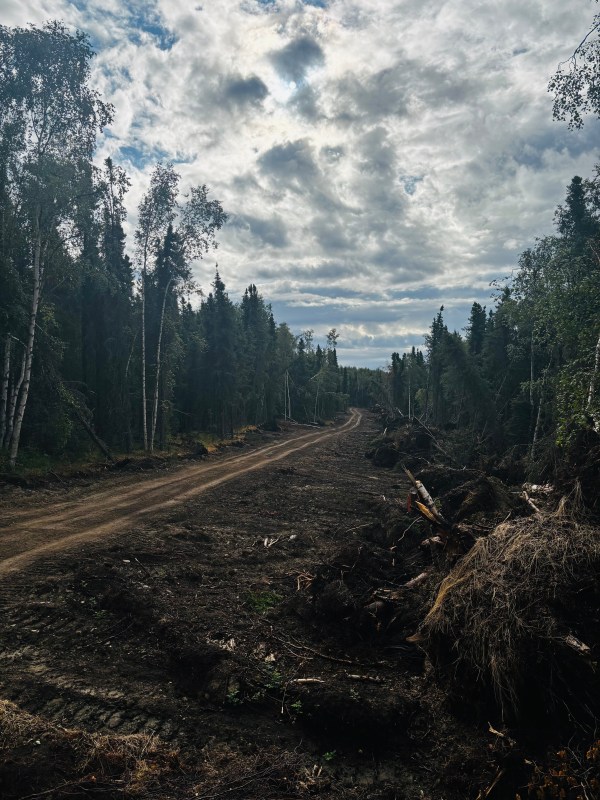 Dozer line and berms shown with black spruce trees and cloudy sky shown in the backgroud.