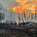 A group of firefighters in protective gear and helmets working on a wildfire in a smoky, burnt landscape with a dramatic sunset in the background.