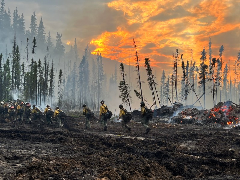 A group of firefighters in protective gear and helmets working on a wildfire in a smoky, burnt landscape with a dramatic sunset in the background.