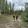 Two firefighters in helmets and gear stand on a cleared forest pathway, surrounded by trees and foliage.