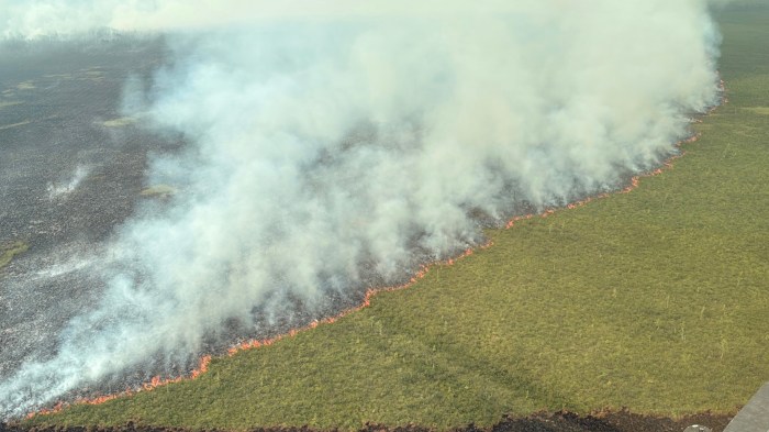 View from a helicopter of an active wildland fire. Flame lengths are around 3 feet. Smoke is moving back onto itself.