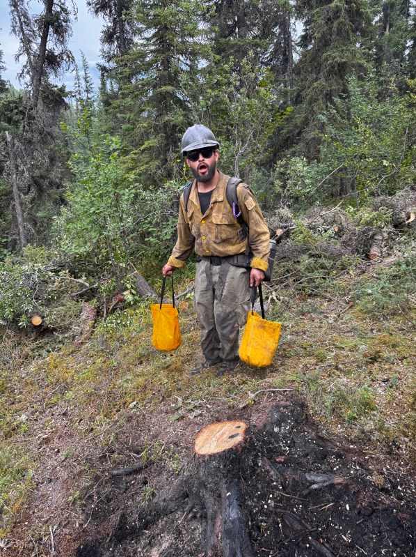 A firefighter standing in a forested area, holding two yellow buckets, with cut tree stumps and burned vegetation visible on the ground.