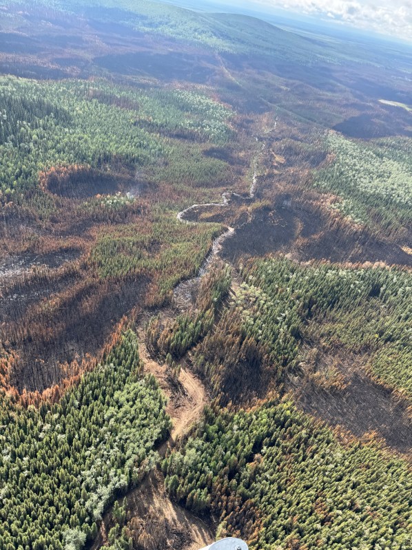 View of a dozer's firebreak winding through the Nenana Ridge Complex